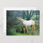 Carte Postale Atteindre haut pour dîner (Devant / Derrière)