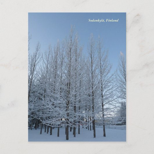 Carte Postale Atteindre le ciel (Devant)