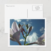 Carte Postale "Atteindre pour le ciel" (Devant / Derrière)