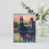 Carte Postale Attelage de chevaux Amish (Debout devant)