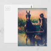 Carte Postale Attelage de chevaux Amish (Devant / Derrière)