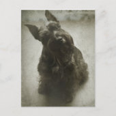 Carte Postale Attente (Devant)