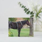 Carte Postale Attente (Debout devant)