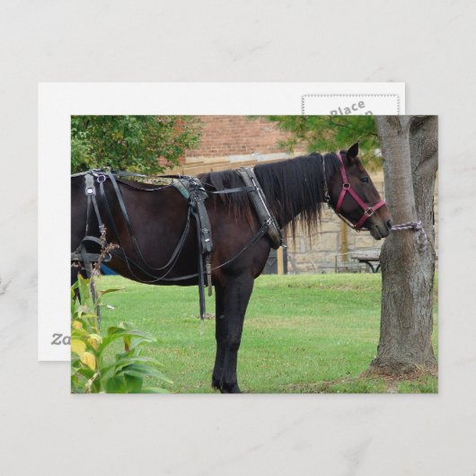 Carte Postale Attente (Devant / Derrière)