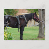 Carte Postale Attente (Devant)