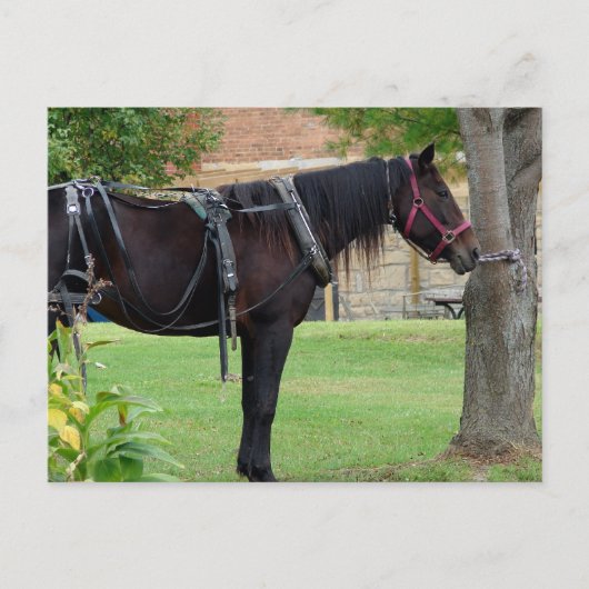 Carte Postale Attente (Devant)