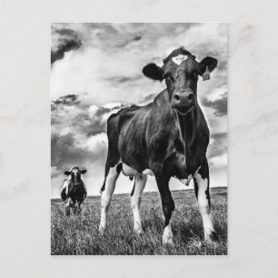 Carte Postale Attente BW Crop