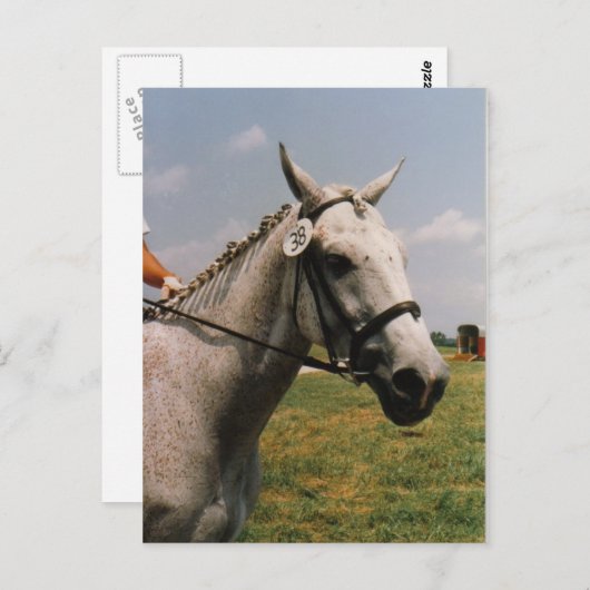 Carte Postale Attente d'exécution - Customisé (Devant / Derrière)