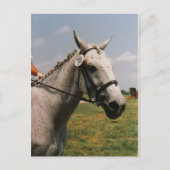 Carte Postale Attente d'exécution - Customisé (Devant)