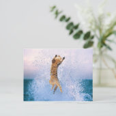 Carte Postale Attente du chat (Debout devant)