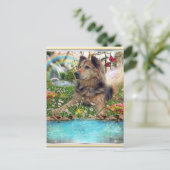 Carte Postale Attente Sur Rainbow Bridge (Debout devant)