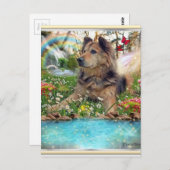 Carte Postale Attente Sur Rainbow Bridge (Devant / Derrière)