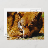 Carte Postale Attention (Devant / Derrière)