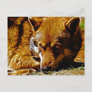 Carte Postale Attention