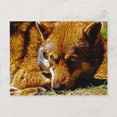 Carte Postale Attention (Devant)