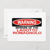 Carte Postale Attention À Lagotto Romagnolo (Devant / Derrière)