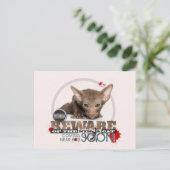 Carte Postale Attention au chat Ninja (Debout devant)