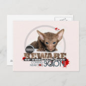 Carte Postale Attention au chat Ninja (Devant / Derrière)