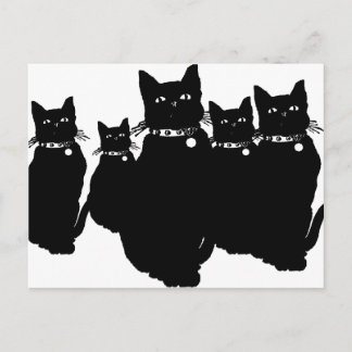 Carte Postale Attention au chat noir