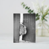 Carte Postale Attention au chien (Debout devant)