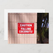Carte Postale Attention - Chute de noix de coco ! (Devant / Derrière)
