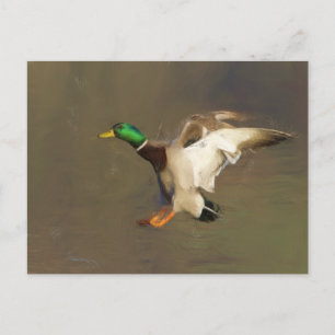 Carte Postale Atterrissage