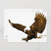 Carte Postale Atterrissage d'aigle à tête blanche (Devant / Derrière)