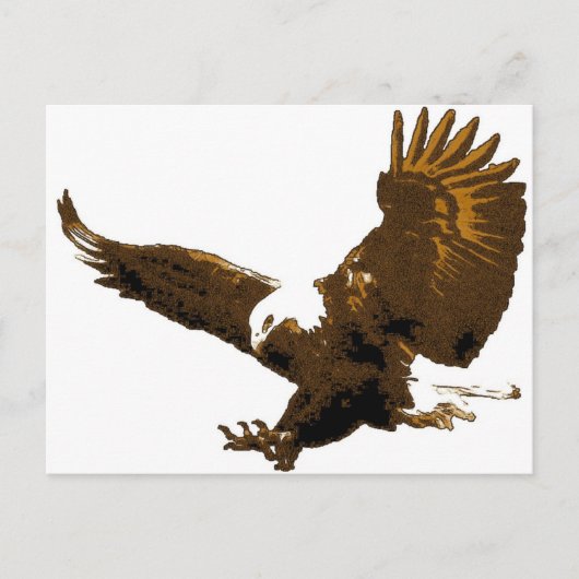 Carte Postale Atterrissage d'aigle à tête blanche (Devant)