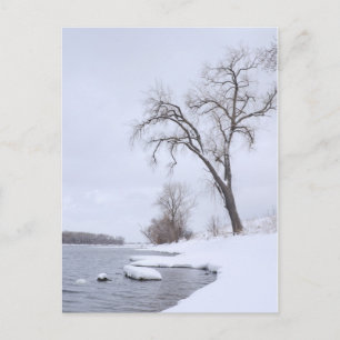 Carte Postale Atterrissage de Kaposia en hiver