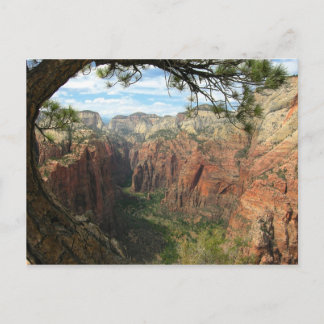 Carte Postale Atterrissage des anges