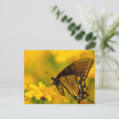 Carte Postale Atterrissage doux (Debout devant)