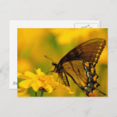 Carte Postale Atterrissage doux (Devant / Derrière)