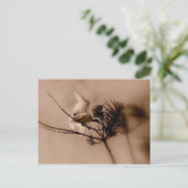 Carte Postale atterrissage en douceur (Debout devant)