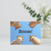 Carte Postale Attitude, Attitude ! (Debout devant)