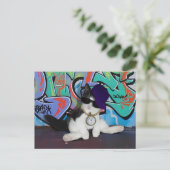 Carte Postale Attitude de chat......................... (Debout devant)