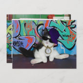 Carte Postale Attitude de chat......................... (Devant / Derrière)