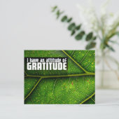 Carte Postale "Attitude de gratitude" Motivation Affirmation (Debout devant)