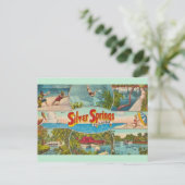 Carte Postale Attraction Vintage Silver Springs (Debout devant)