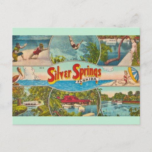 Carte Postale Attraction Vintage Silver Springs (Devant)