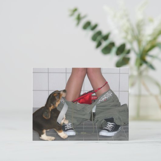 Carte Postale Attrapé avec mon pantalon à nouveau, mignon chien (Debout devant)