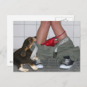 Carte Postale Attrapé avec mon pantalon à nouveau, mignon chien  (Devant / Derrière)