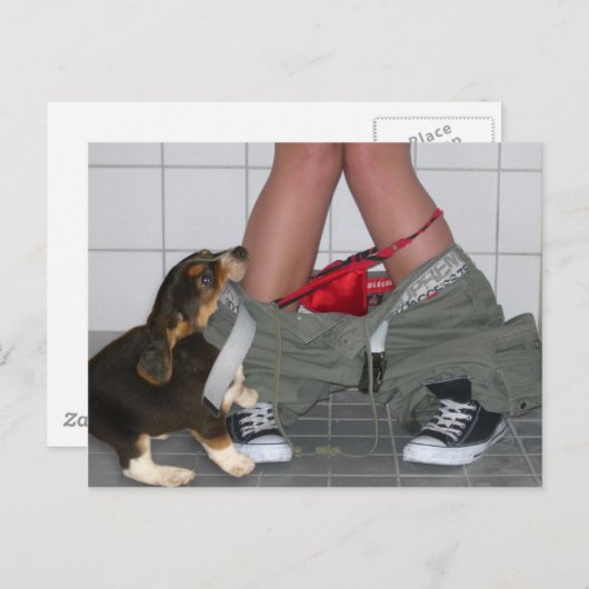 Carte Postale Attrapé avec mon pantalon à nouveau, mignon chien  (Devant / Derrière)
