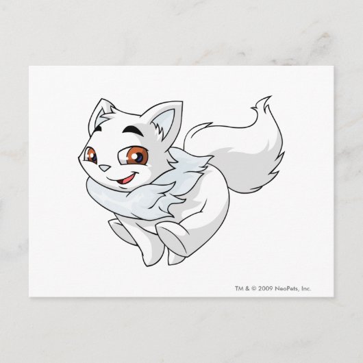 Carte Postale Attrape ce Wocky si tu peux ! (Devant)