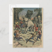 Carte Postale Attraper un éléphant blanc à Siam (Devant / Derrière)