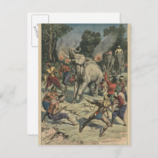 Carte Postale Attraper un éléphant blanc à Siam (Devant / Derrière)