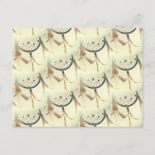 Carte Postale attrapeur