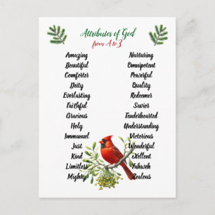 Carte Postale Attributs de Dieu Noël Oiseaux et Branches