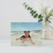 Carte Postale Au bord de la mer (Debout devant)