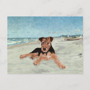 Carte Postale Au bord de la mer
