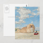 Carte Postale Au bord de la mer (Devant / Derrière)